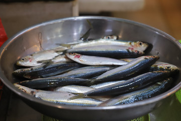 Closeup Sardine, Fish Market Hong Kong 