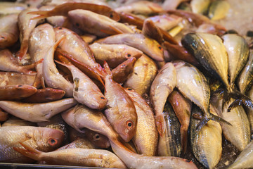 Fresh Fish at Wet Market, Singapore