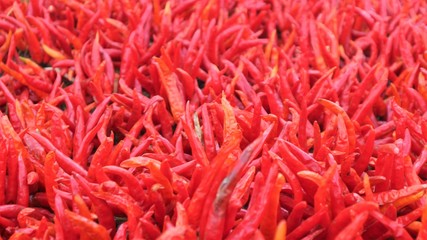 closeup of red peppers