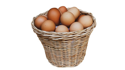 eggs in a basket isolated on white
