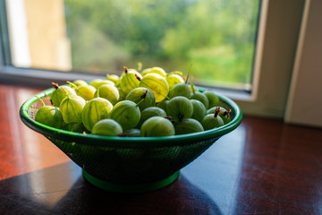 Heap of green washed gooseberry fruit in a colander on table top view