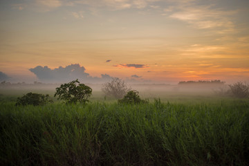 Sunrise over Corroboree wetlands © Deirdre