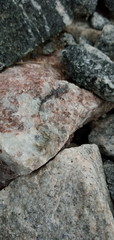 Granite rock  background