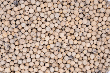 White pepper and background