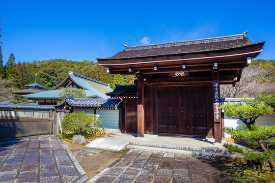 Buddhism  Temple  Saihoji   And  Kokedera Moss Garden