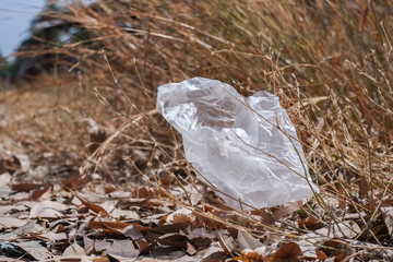 Garbage from plastic bags that are thrown away on the dry leaves ground which is a problem and pollution to the environment and causing global warming.