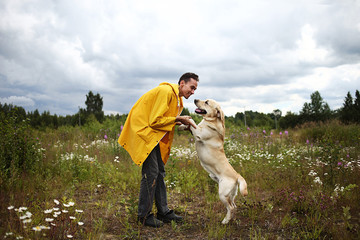 Man training Labrador Retriever on green meadow