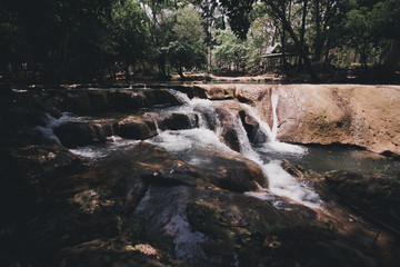 Beautiful and fertile nature