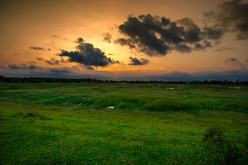 Abstract wallpapers of a blurry nature of colorful sky by the lake, with coconut palms and green fields, with cows walking on grass, seen in rural areas