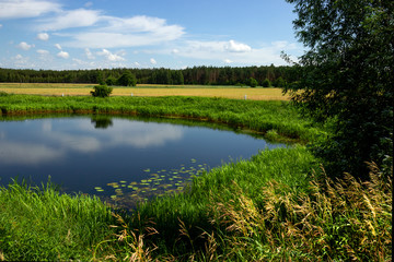 Pond on the plain in summer.