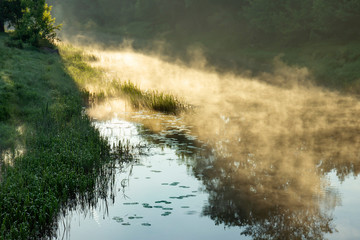 River in the morning fog.