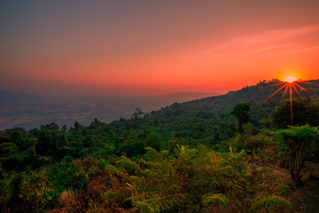 Abstract wallpapers of a blurry nature of colorful sky by the lake, with coconut palms and green fields, with cows walking on grass, seen in rural areas