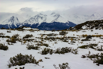 snow wild view with mountains in background