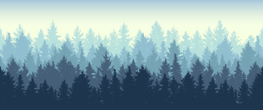 Seamless coniferous winter forest background. Nature, landscape. Pine, spruce, christmas tree. Fog evergreen coniferous trees. Silhouette vector illustration