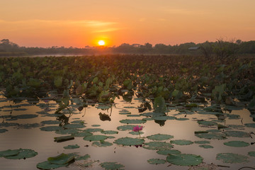 Sunrise over Shady Camp wetlands © Deirdre