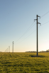 Selective focus. A line of electric poles with cables of electricity in a field with a forest in background in autumn during sunset.