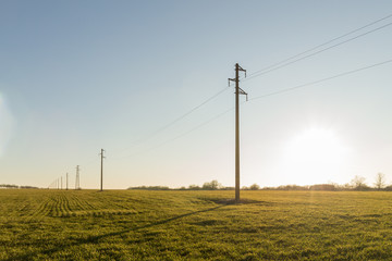 Selective focus. A line of electric poles with cables of electricity in a field with a forest in...