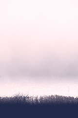 glitzernder See mit Nebelschwaden mit Schilf am Ufer