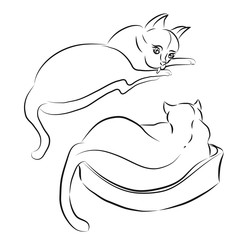 cats, freehand linear drawing