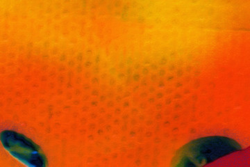 Colorful scratched grunge texture. Dry oil strokes background. Design pattern.