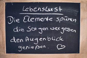 Lebenslust