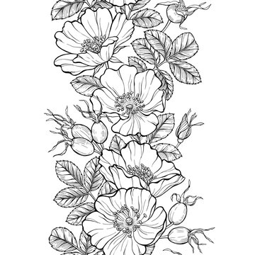 beautiful flower border designs to draw