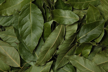 Dried Laurel leaves texture background.  Top view. Cooking background.
