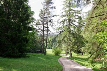 Fototapeta premium Wanderweg