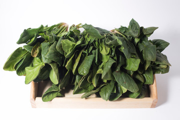 Bunch of spinach leaves on isolated white background