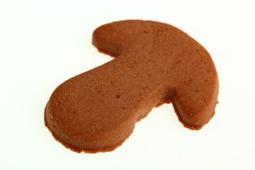 Cocoa Cookies