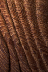 oak wood texture background