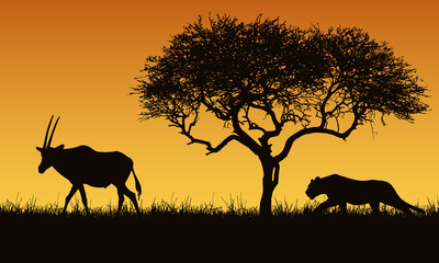 Realistic illustration of a creeping lion and gazelle or antelope silhouettes. The feline hunts for an oryx. Safari landscape with grass, tree and orange sky, vector