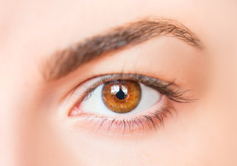 Closeup image of hazel eyes - obrazy, fototapety, plakaty