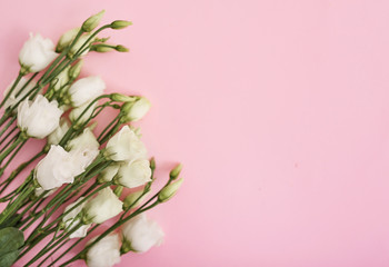 Valentines Day romantic background with heart and flowers. Valentine Card with copy space. Flowers eustomas on pink background. Valentine's day greeting card template February 14