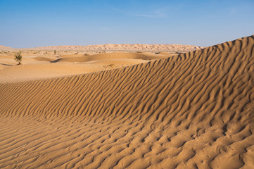 Scenic view of sand dunes in arabian desert