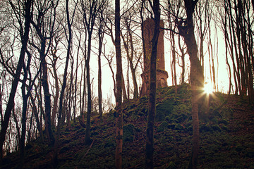 Burgruine im Wald mit Sonnenstrahlen