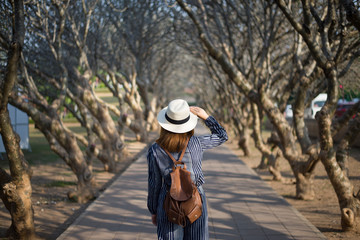 Woman tourist is sightseeing at Plumeria tunnel at Nan National Museum in Nan province in Thailand.