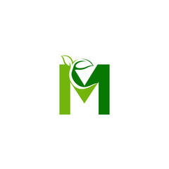 Combination of green leaf and initial letters M logo design vectors