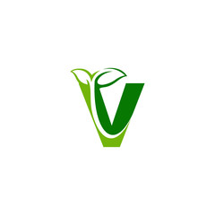Combination of green leaf and initial letters V logo design vectors