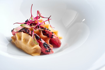 Set Food Menu On A White Plate. Top view of light dish perfect served.. Dumplings