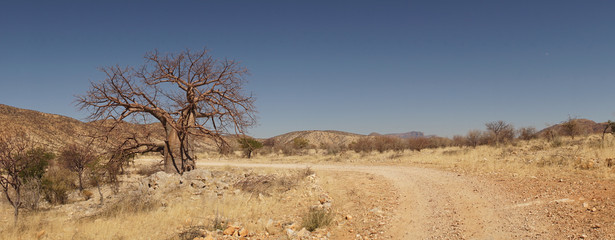 Epupa Falls Waterfall with Baobab trees at the border of Namibia and Angola in Kaokoland, Southern...