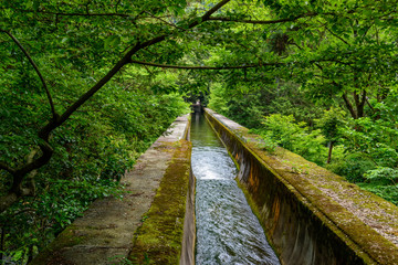 緑の木々の中の用水路