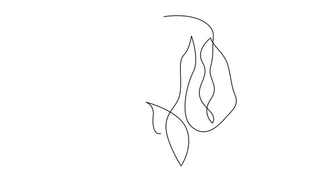 Self drawing simple animation of single continuous one line drawing Irish Setter. Dog head drawing by hand, black lines on a white background. The concept of wildlife, pets, veterinary.