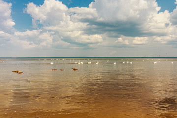 Kursiu Nerija National Park is a narrow strip of sand stretching 97 kilometres along the Baltic Sea...