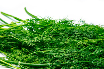Fresh dill on a white background.