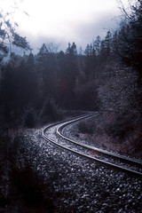 Eisenbahn im Harz Wald  - 317982470
