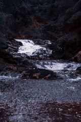 Wasserfall im. Harzwald - 317982623