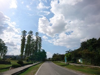 quite road in the world with its tree