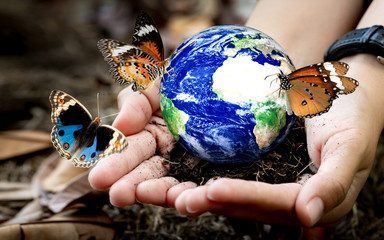 Woman hands holding world or globe with butterfly on earth day.Environment conservation and energy...