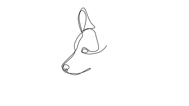 Self drawing simple animation of single continuous one line drawing Welsh Corgi Pembroke. Dog head drawing by hand, black lines on a white background. The concept of wildlife, pets, veterinary.